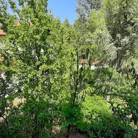 Tango Koycegiz (Mugla)