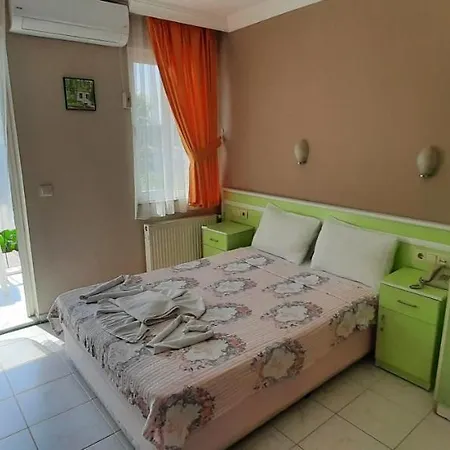 Tango Проживание в семье