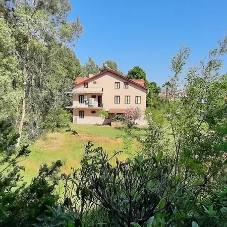 Проживание в семье Tango *