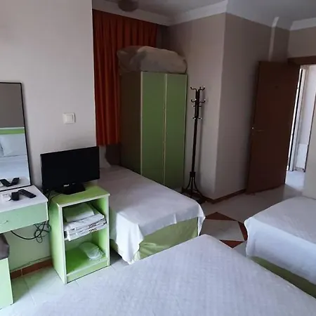 Tango Проживание в семье