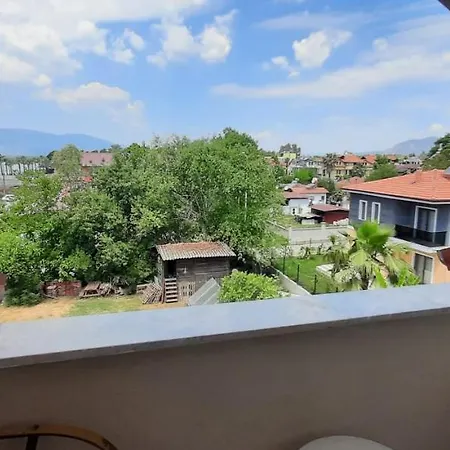 Tango Проживание в семье